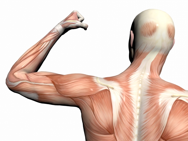 INTRO TO THE UPPER TRAPEZIUS EVALUATION SUITE WEBINAR RECORDING